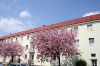 Häuserzeile mit neuer Fassade in hellem Farbton, blühende Bäume mit rosa Blüten davor. Drei Wohnetagen. Dächer neu. Häuserzeile mit neuer Fassade in hellem Farbton, blühende Bäume mit rosa Blüten davor. Drei Wohnetagen. Dächer neu.