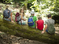 Kindergruppe sitzt auf Baumstamm