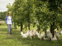 Tierische Erlebnisse im Bliesgau