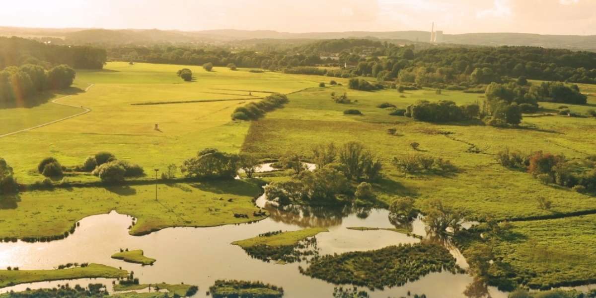 Blick über den Bliesgau