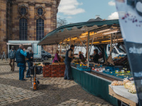 Wochenmarkt Ludwigskirche