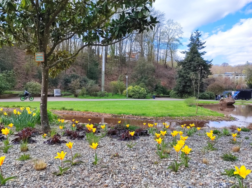 DFG im April 2023 DFG im April 2023