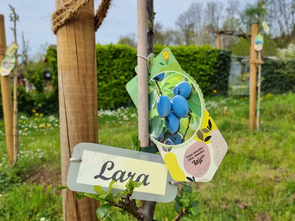 Grünflächen-Patenschaft im Wiesental, Gartenbauvereins Dudweiler Grünflächen-Patenschaft im Wiesental, Gartenbauvereins Dudweiler