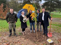 Baumpflanzung Neujahrsbaby: OB Conradt (r.), die Eltern Kai und Nina Sonnhalter mit Mathilda sowie Nick Jung (l.) und Thomas Herrmann vom DFG (2.v.r.)