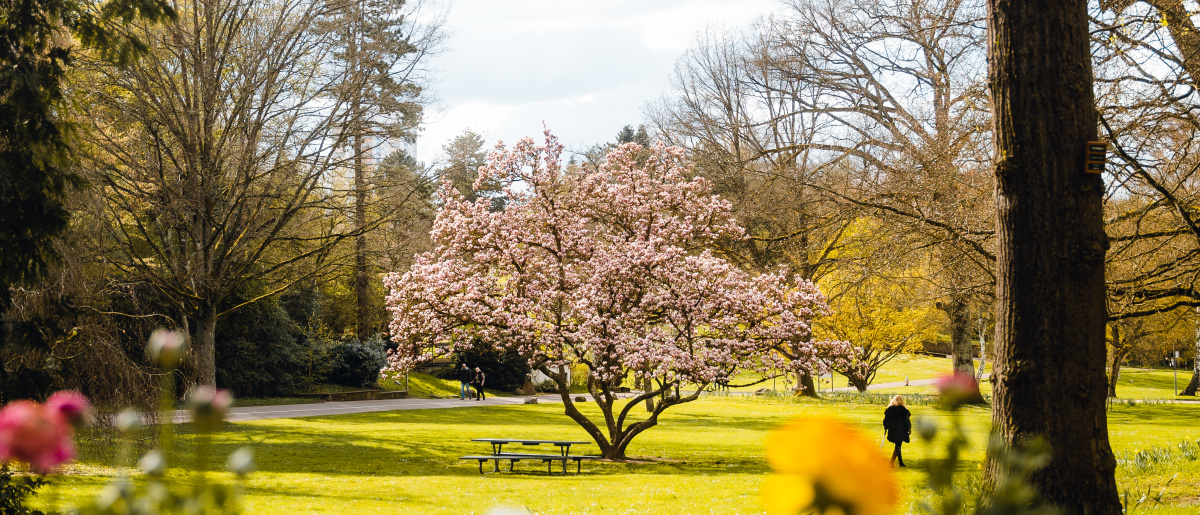 Deutsch-Französischer Garten mit Frühlingsblumen