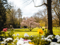 Deutsch-Französischer Garten