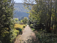 World Cleanup Day: Friedhof Scheidt: nachher