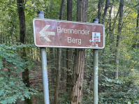 World Cleanup Day: Grünamt unterwegs am Brennenden Berg in Dudweiler