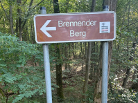 World Cleanup Day: Grünamt unterwegs am Brennenden Berg in Dudweiler