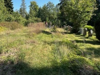 World Cleanup Day: Waldfriedhof 