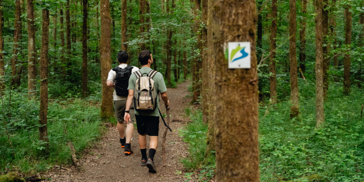 Zwei Männer beim Wandern im Wald.