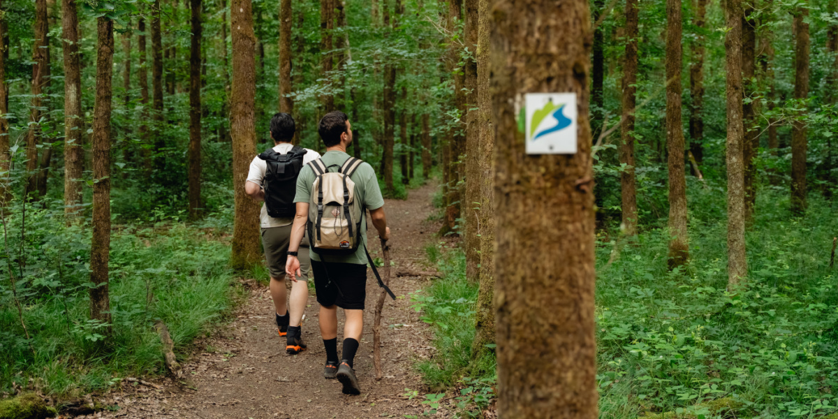 Aktiv & Natur Shooting ©Visit Saarbrücken, A. Lombardozzi Zwei Männer beim Wandern im Wald.
